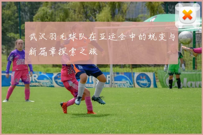 武汉羽毛球队在亚运会中的蜕变与新篇章探索之旅
