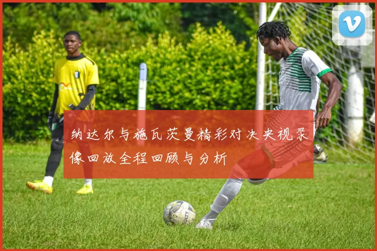 纳达尔与施瓦茨曼精彩对决央视录像回放全程回顾与分析