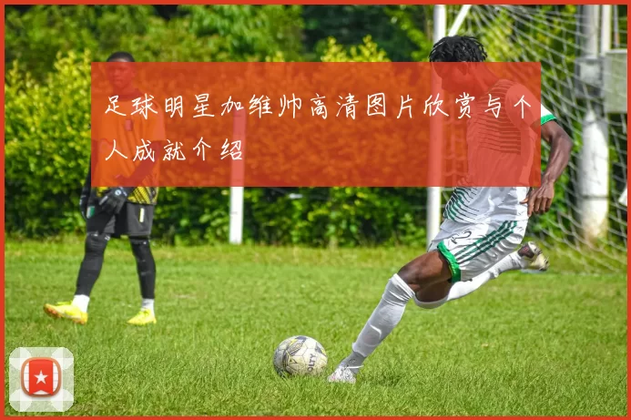 足球明星加维帅高清图片欣赏与个人成就介绍