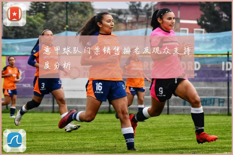 意甲球队门票销售排名及观众支持度分析