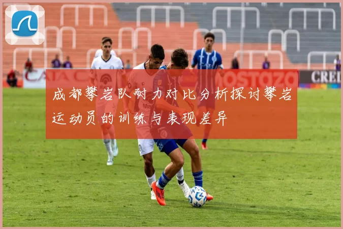成都攀岩队耐力对比分析探讨攀岩运动员的训练与表现差异