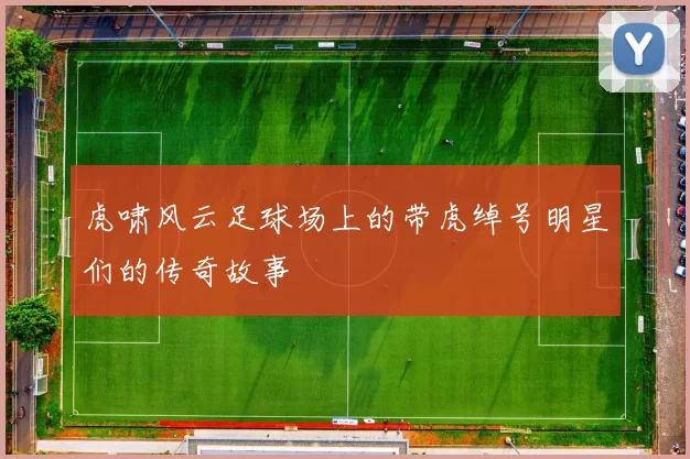 虎啸风云足球场上的带虎绰号明星们的传奇故事