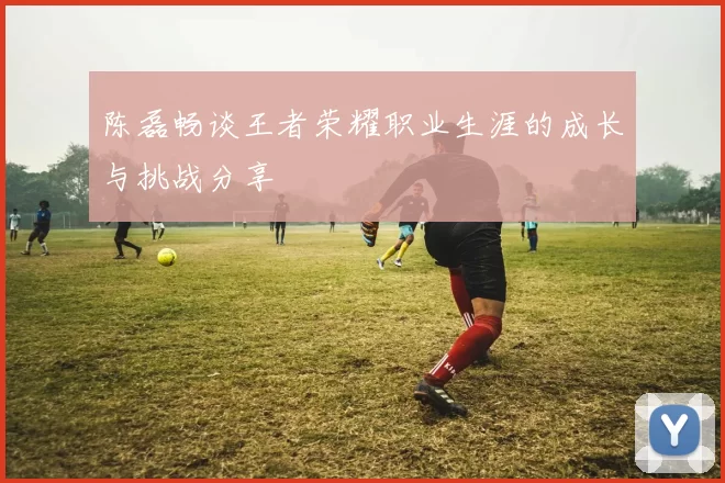 陈磊畅谈王者荣耀职业生涯的成长与挑战分享