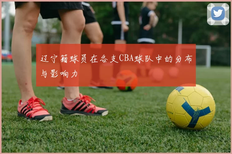 辽宁籍球员在各支CBA球队中的分布与影响力