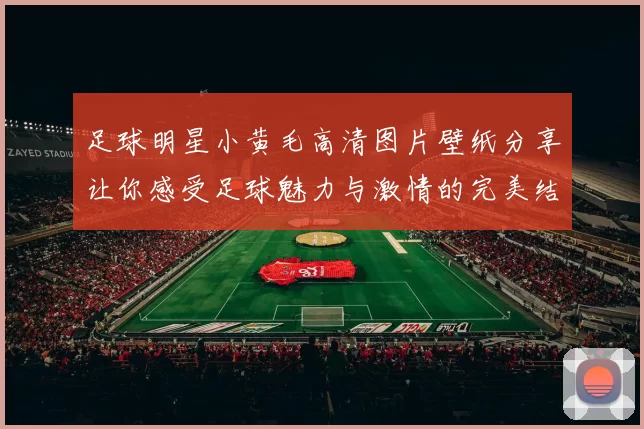 足球明星小黄毛高清图片壁纸分享让你感受足球魅力与激情的完美结合