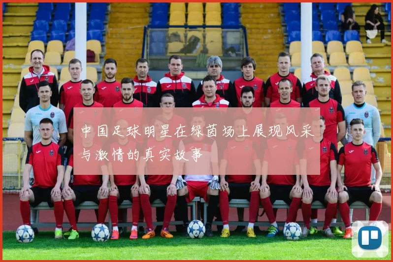 中国足球明星在绿茵场上展现风采与激情的真实故事