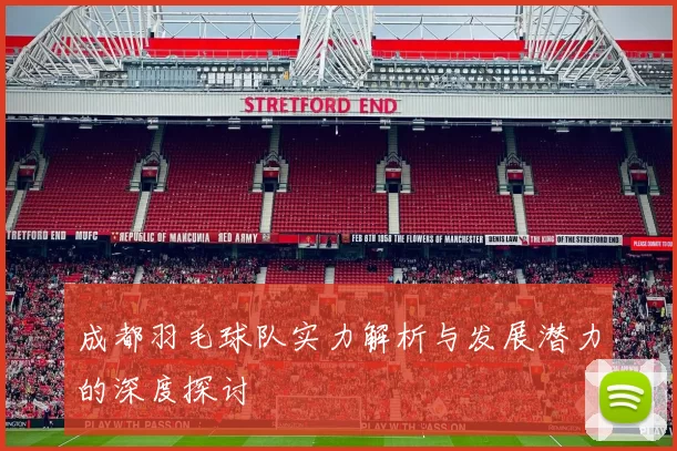 成都羽毛球队实力解析与发展潜力的深度探讨