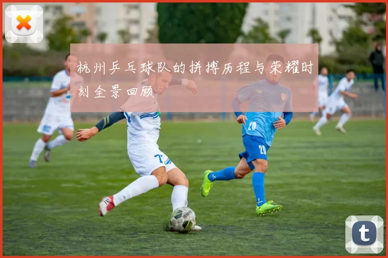 杭州乒乓球队的拼搏历程与荣耀时刻全景回顾