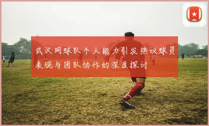 武汉网球队个人能力引发热议球员表现与团队协作的深度探讨