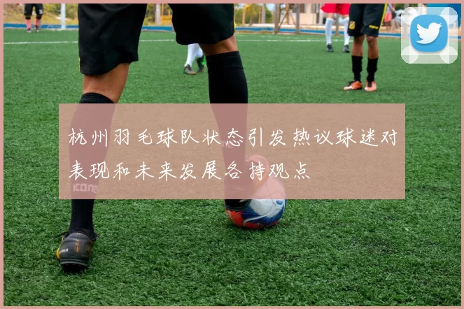 杭州羽毛球队状态引发热议球迷对表现和未来发展各持观点