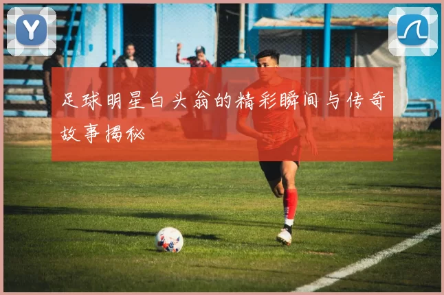 足球明星白头翁的精彩瞬间与传奇故事揭秘
