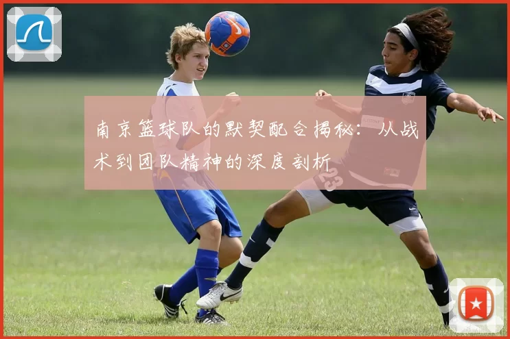 南京篮球队的默契配合揭秘：从战术到团队精神的深度剖析