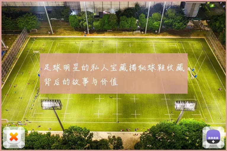足球明星的私人宝藏揭秘球鞋收藏背后的故事与价值
