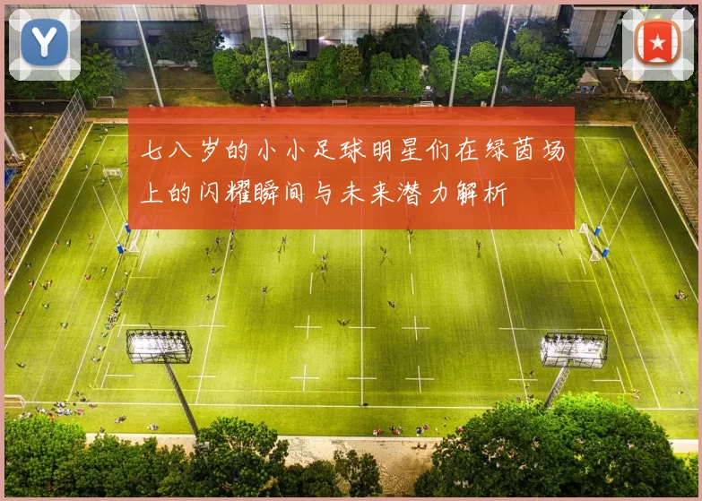 七八岁的小小足球明星们在绿茵场上的闪耀瞬间与未来潜力解析