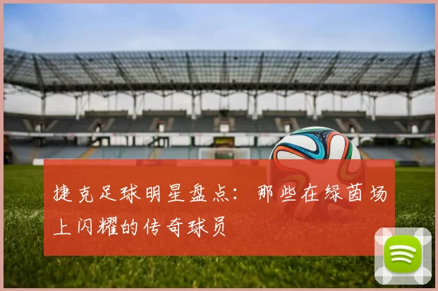 捷克足球明星盘点：那些在绿茵场上闪耀的传奇球员