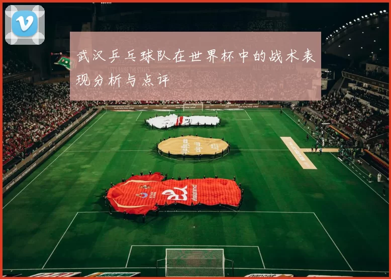 武汉乒乓球队在世界杯中的战术表现分析与点评