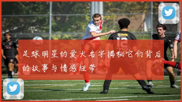 足球明星的爱犬名字揭秘它们背后的故事与情感纽带