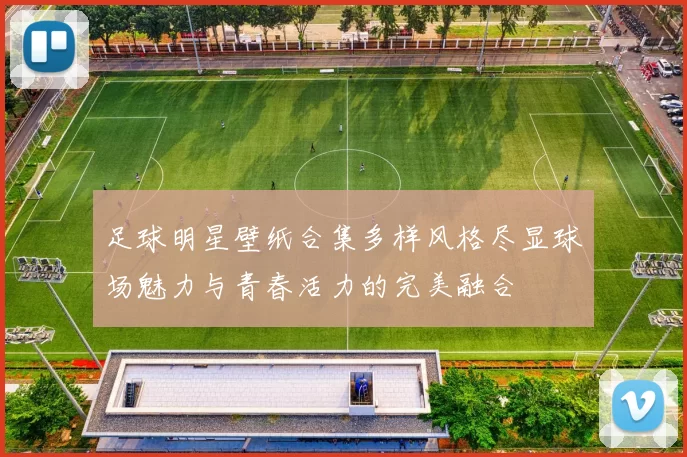 足球明星壁纸合集多样风格尽显球场魅力与青春活力的完美融合