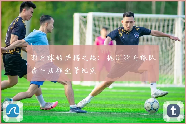 羽毛球的拼搏之路：杭州羽毛球队奋斗历程全景纪实