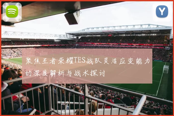 聚焦王者荣耀TES战队灵活应变能力的深度解析与战术探讨