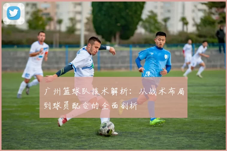 广州篮球队技术解析：从战术布局到球员配合的全面剖析